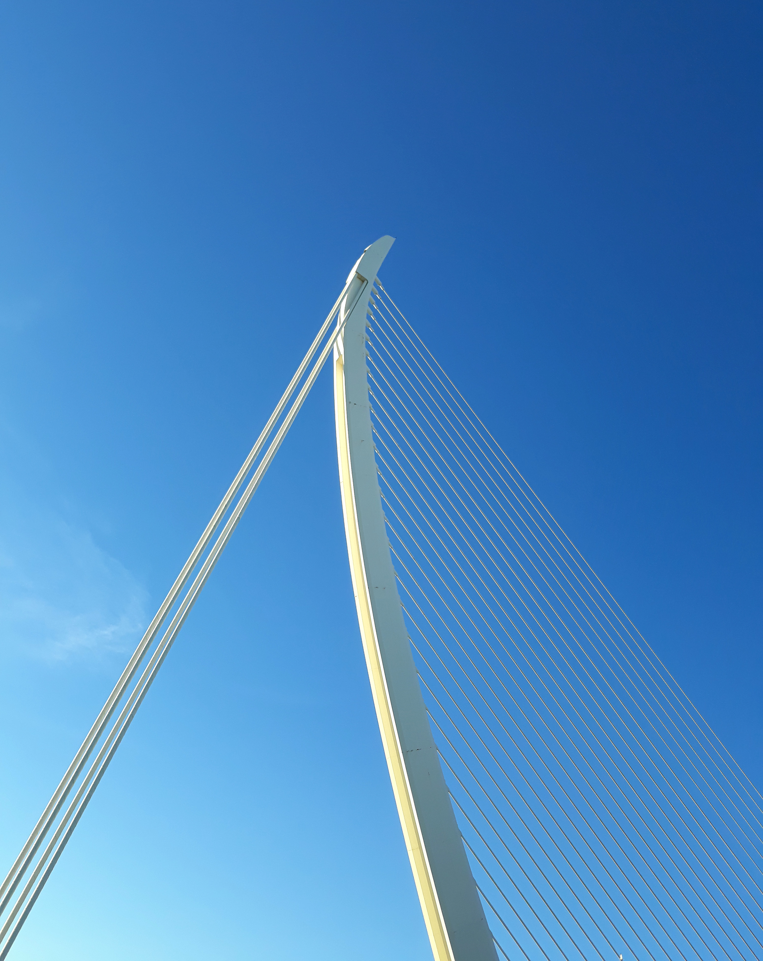 Puente Assut de l'Or — 4