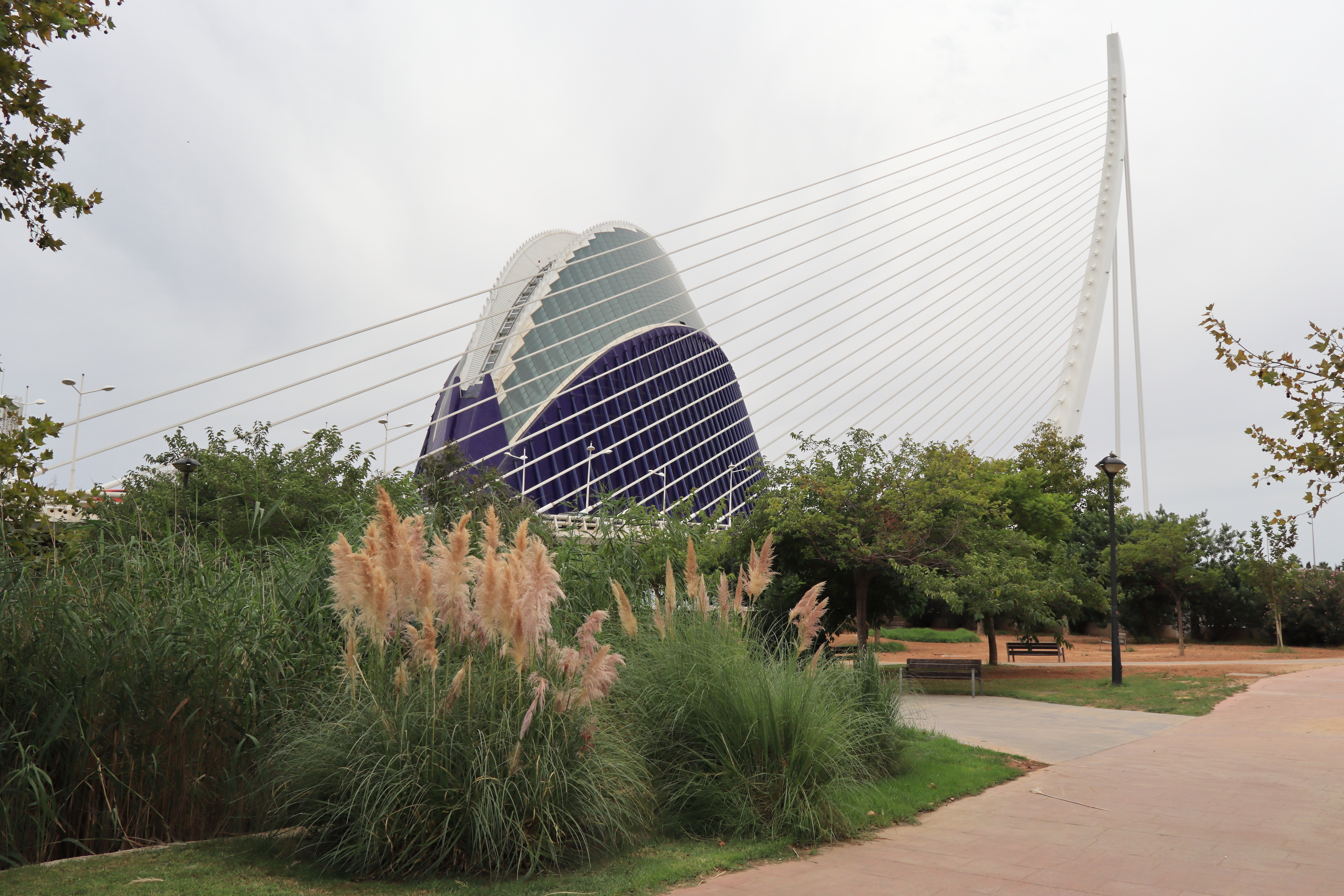 Puente Assut de l'Or