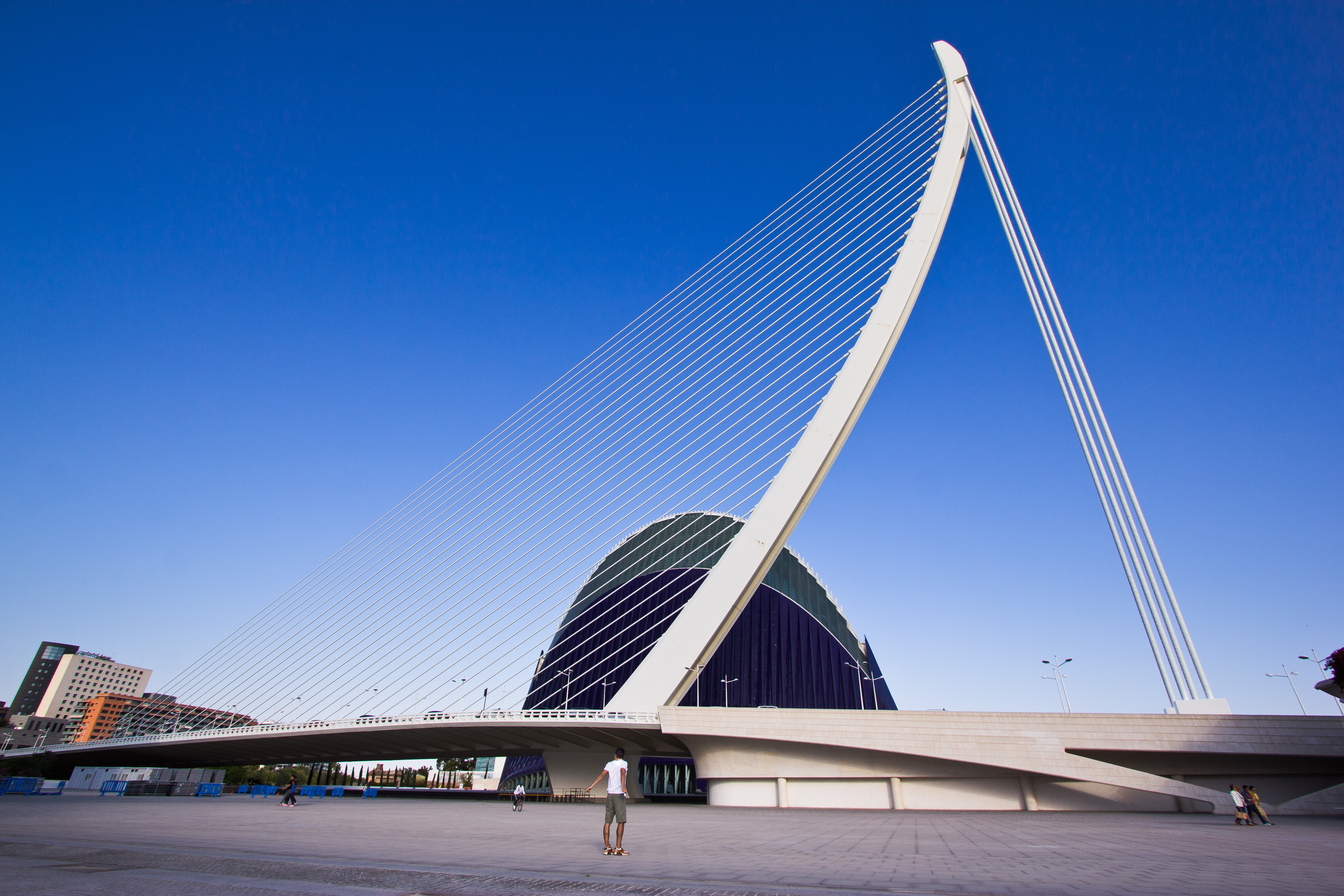 Puente Assut de l'Or — 2